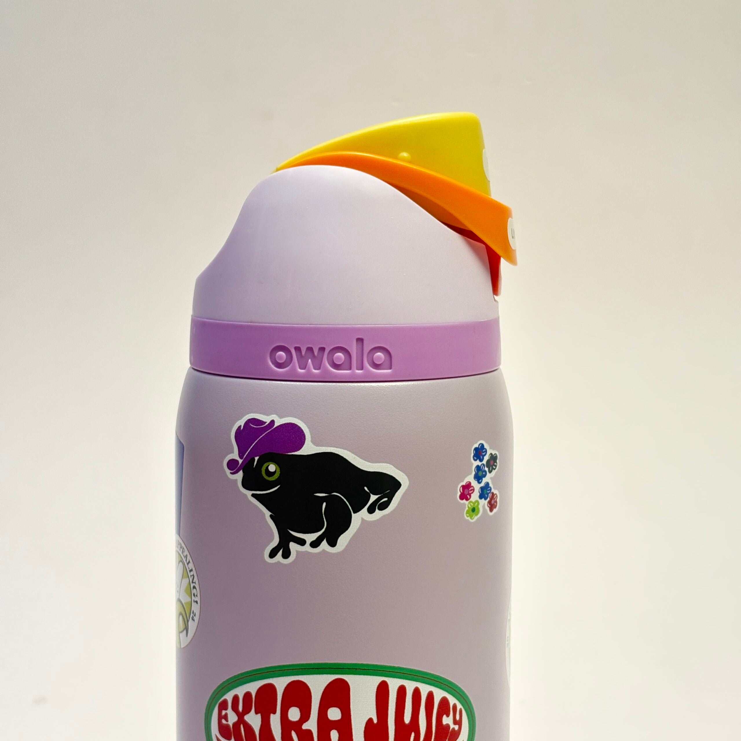 Owala FreeSip Printed Insulated Bottle 32oz