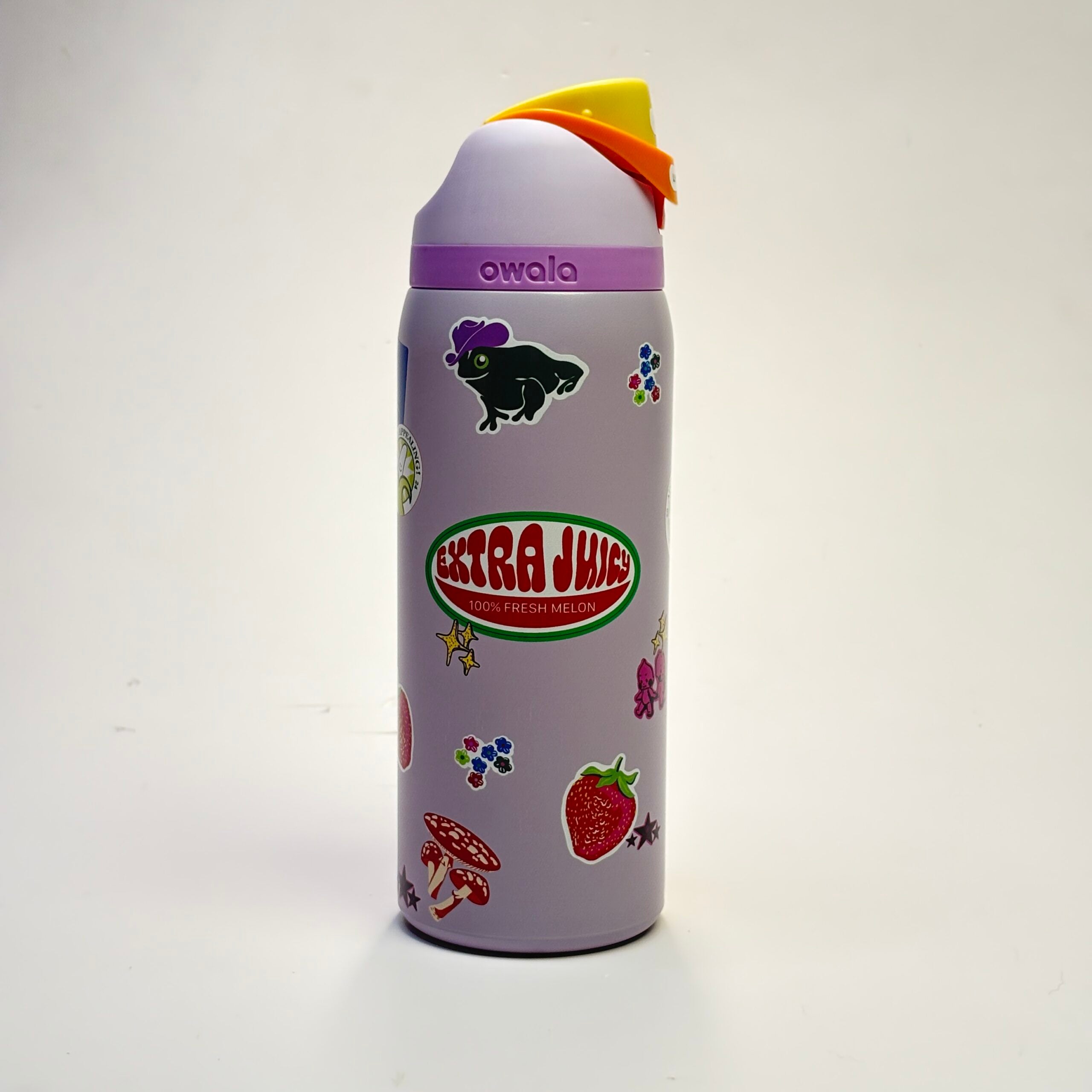 Owala FreeSip Printed Insulated Bottle 32oz