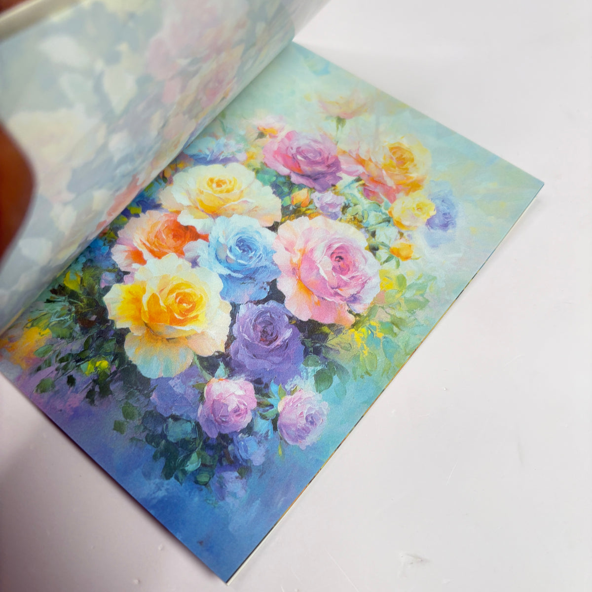 Sticker booklet