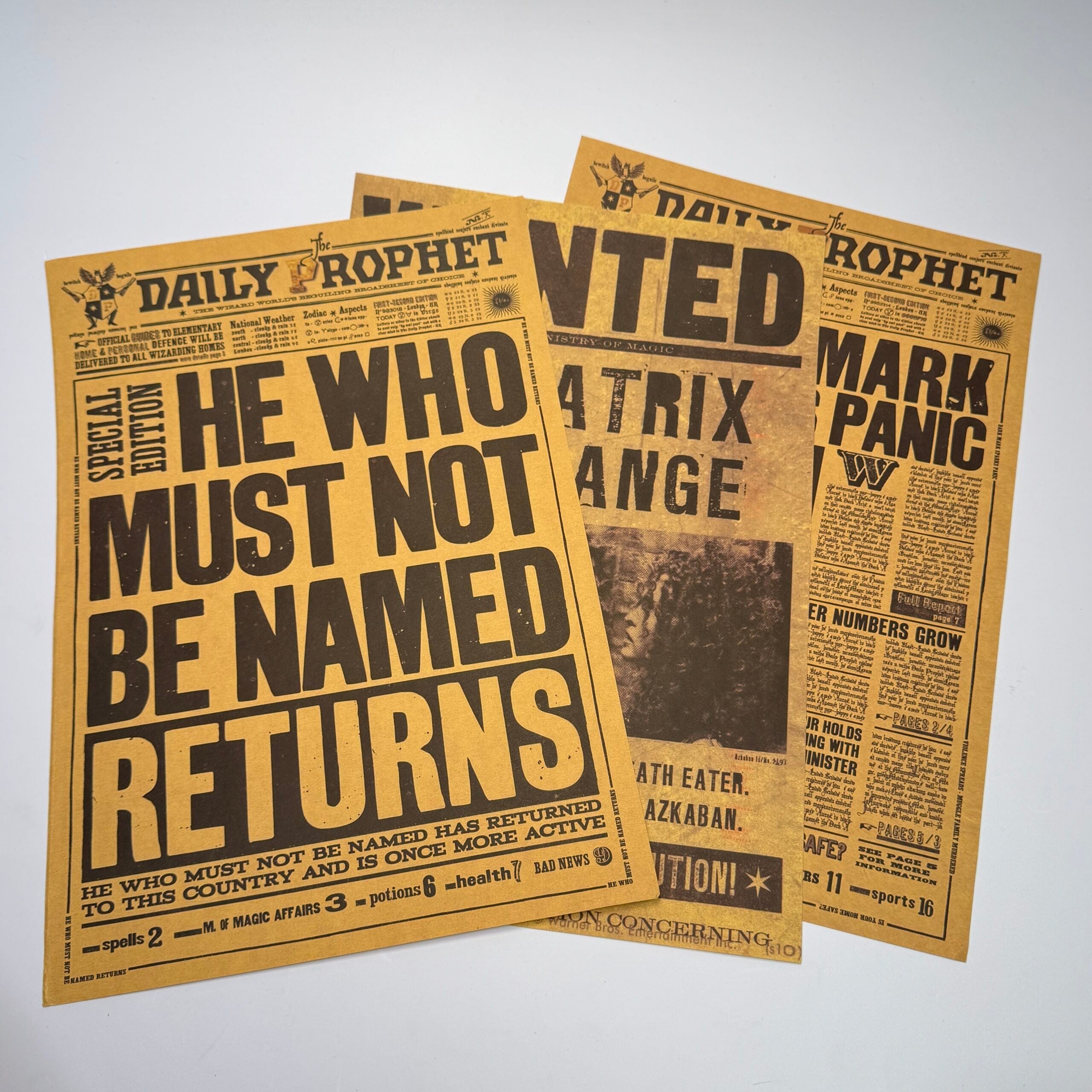 Harry Potter Posters ( Random )