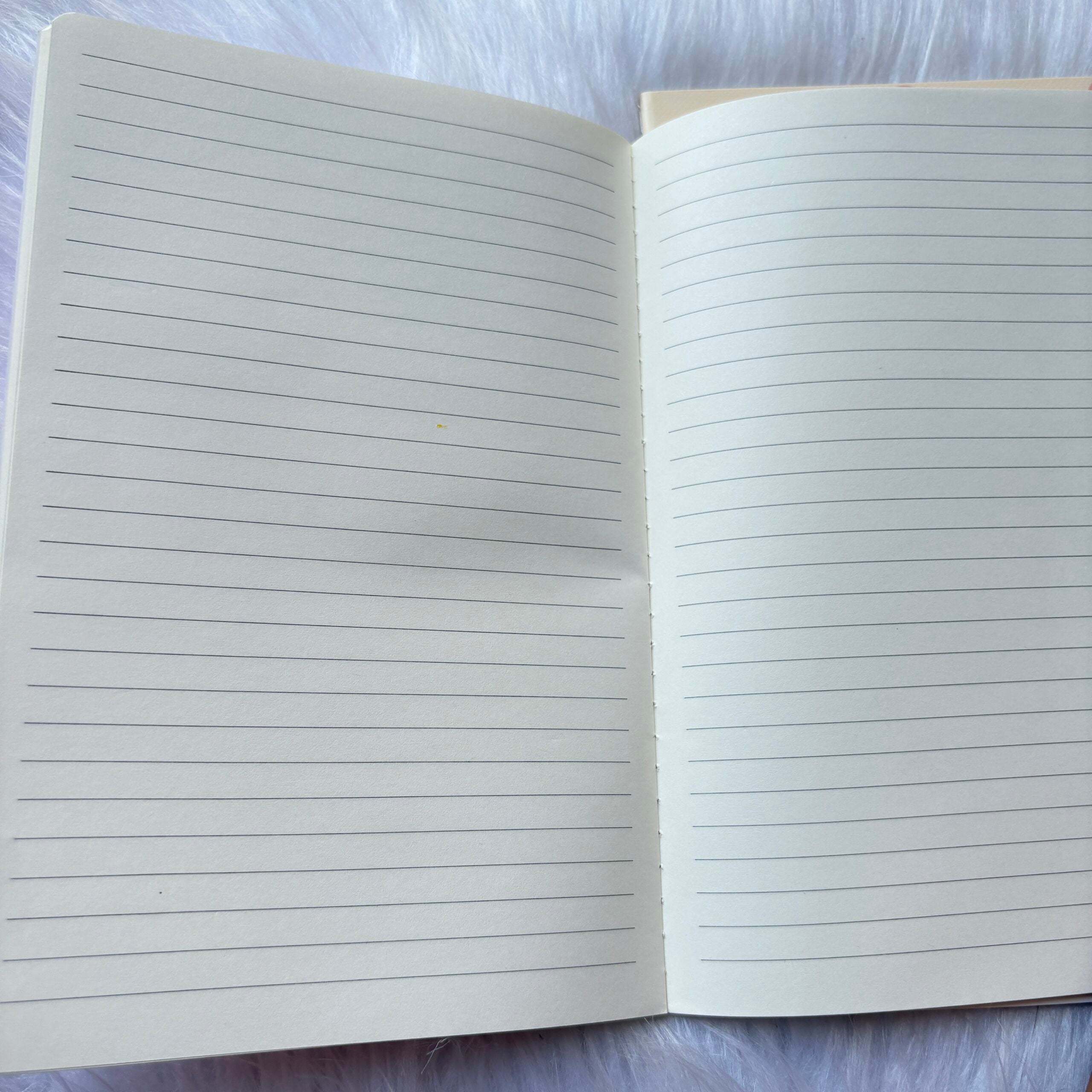 Cat Ruled Diary (Set of 3)
