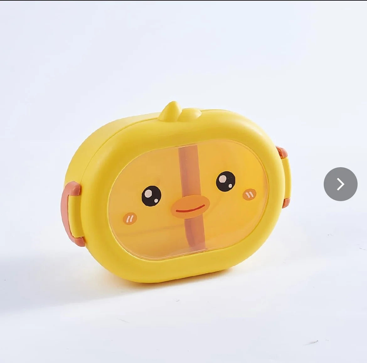 Duck lunch box