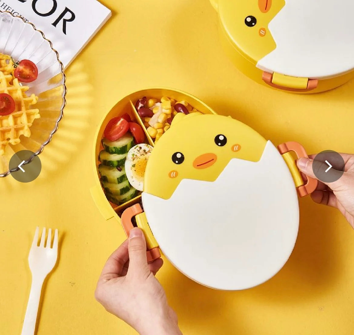 Duck lunch box