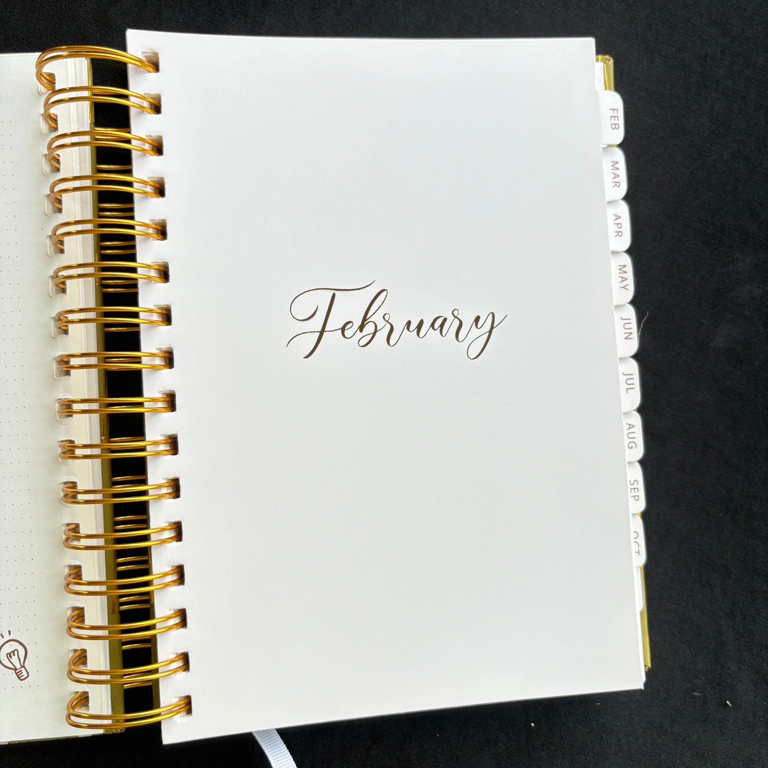 Premium Daily Planners (last two sheets stickers)