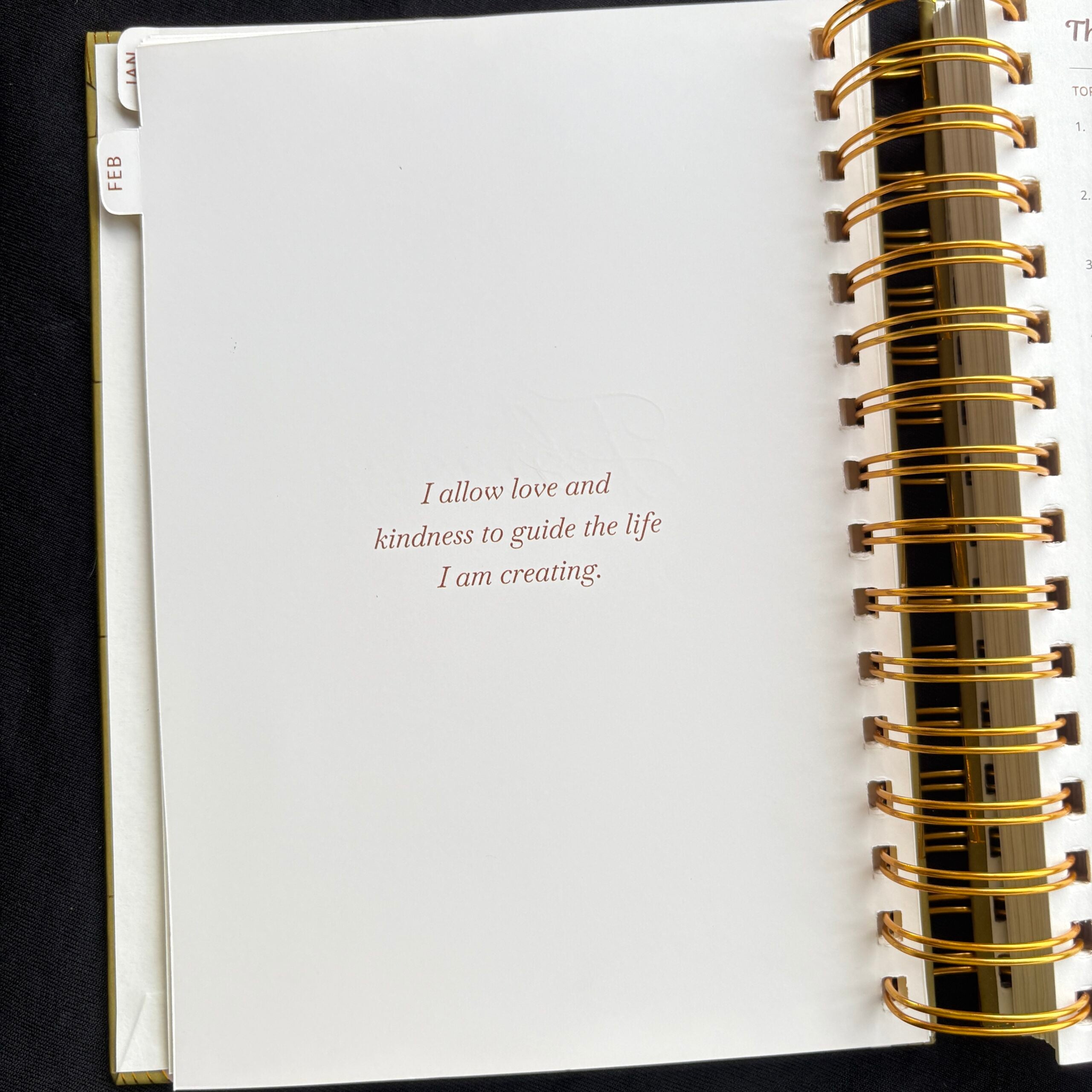 Premium Daily Planners (last two sheets stickers)