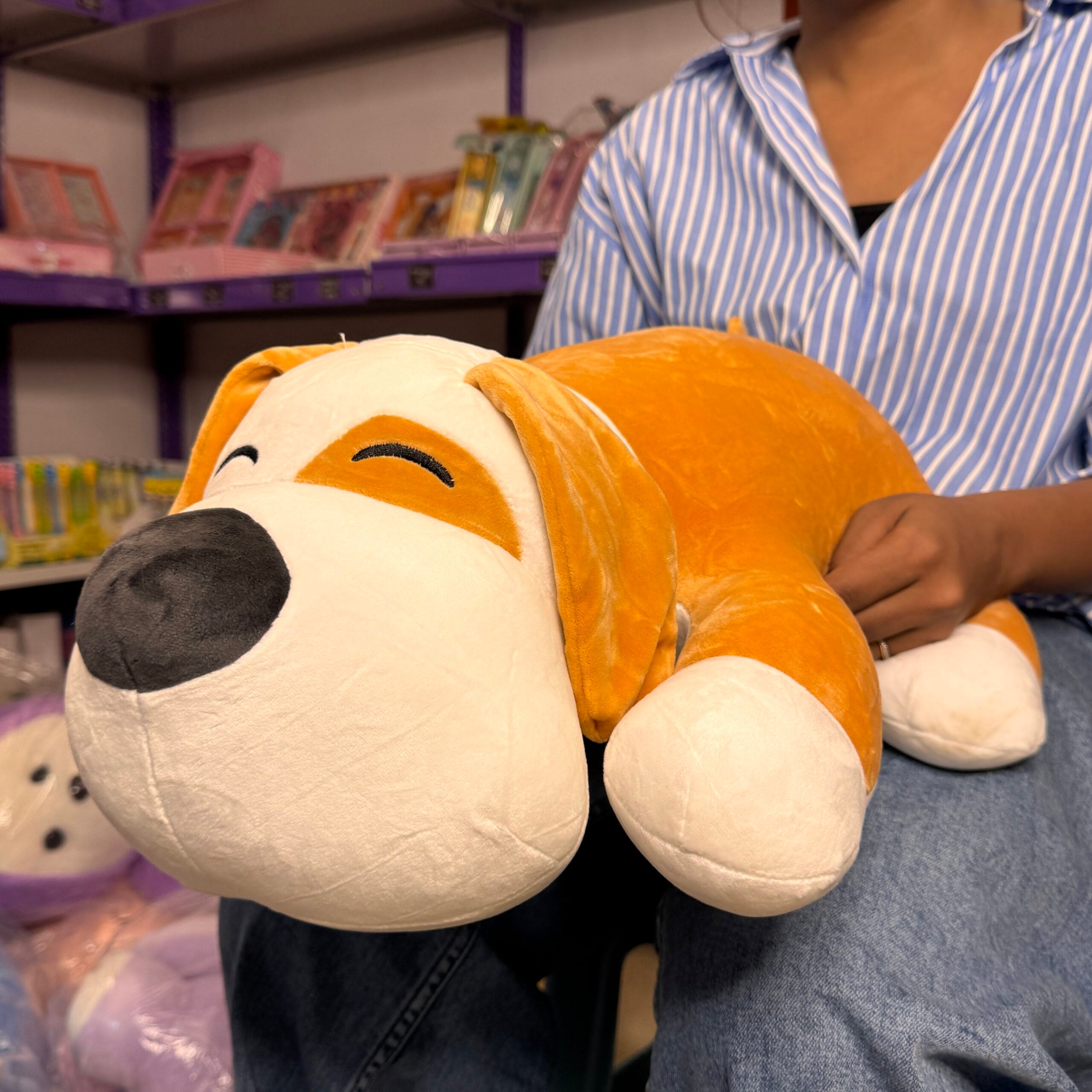 Doggy Blanket Plush Toy