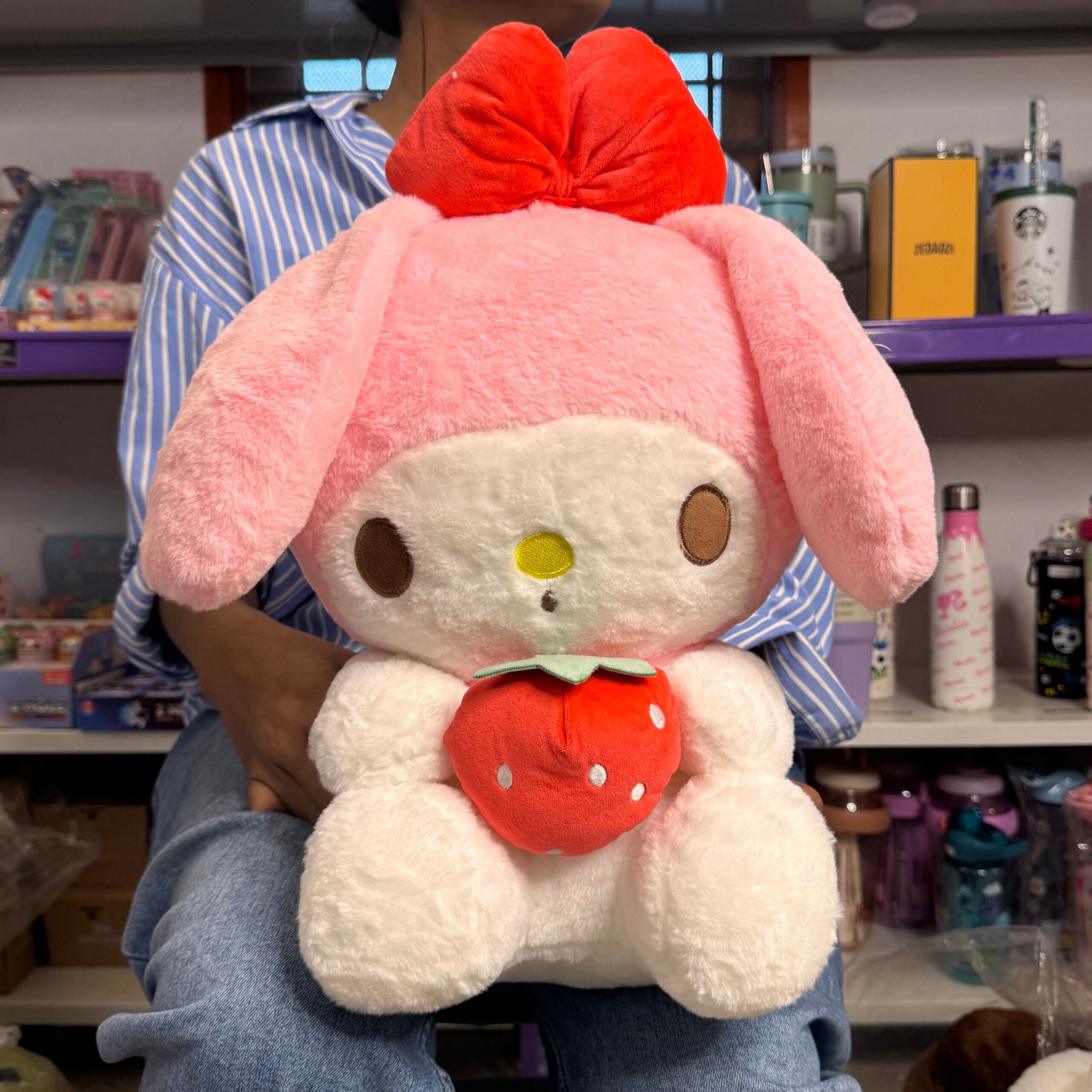 Sanrio Blanket Plush Toy