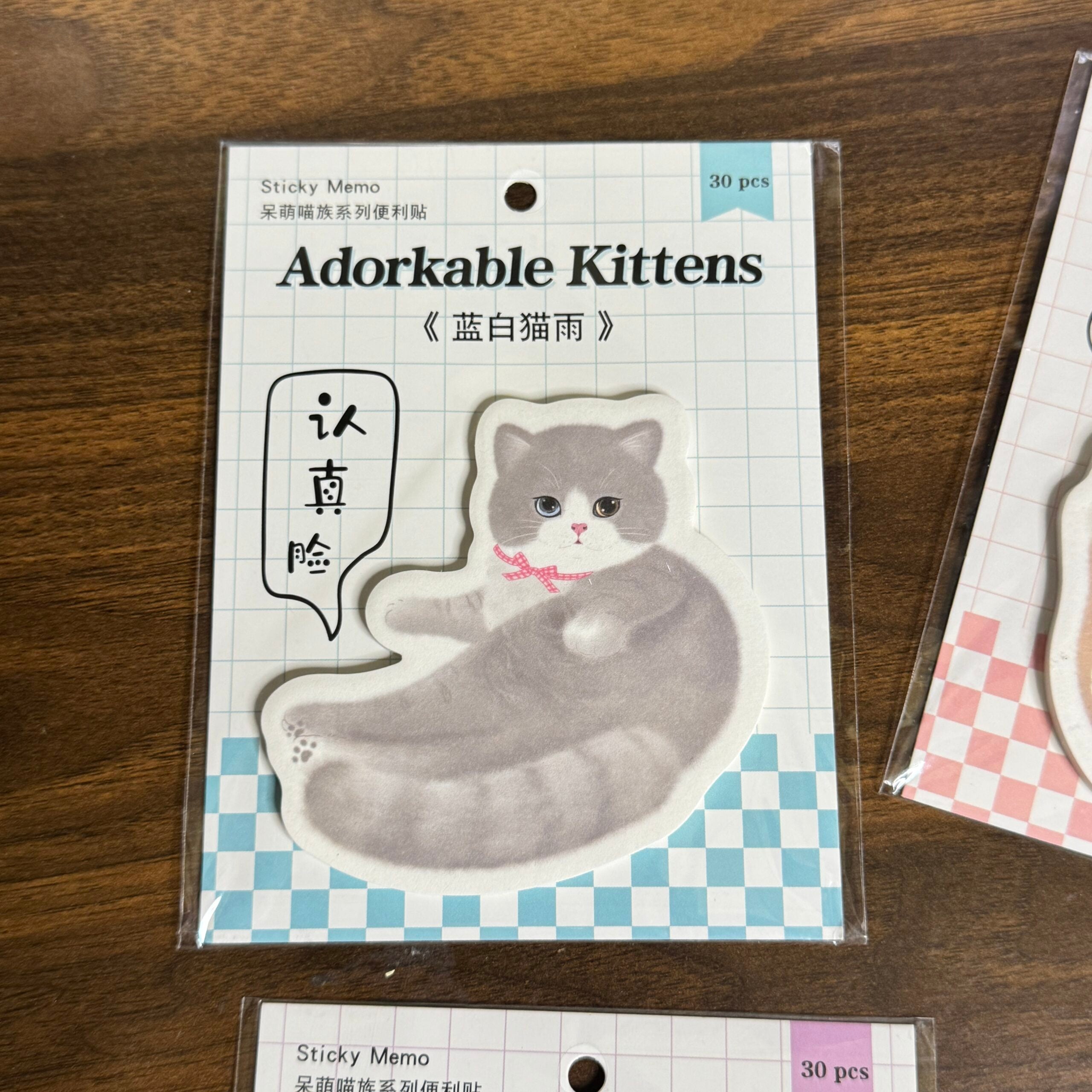 Cute cat sticky notes random