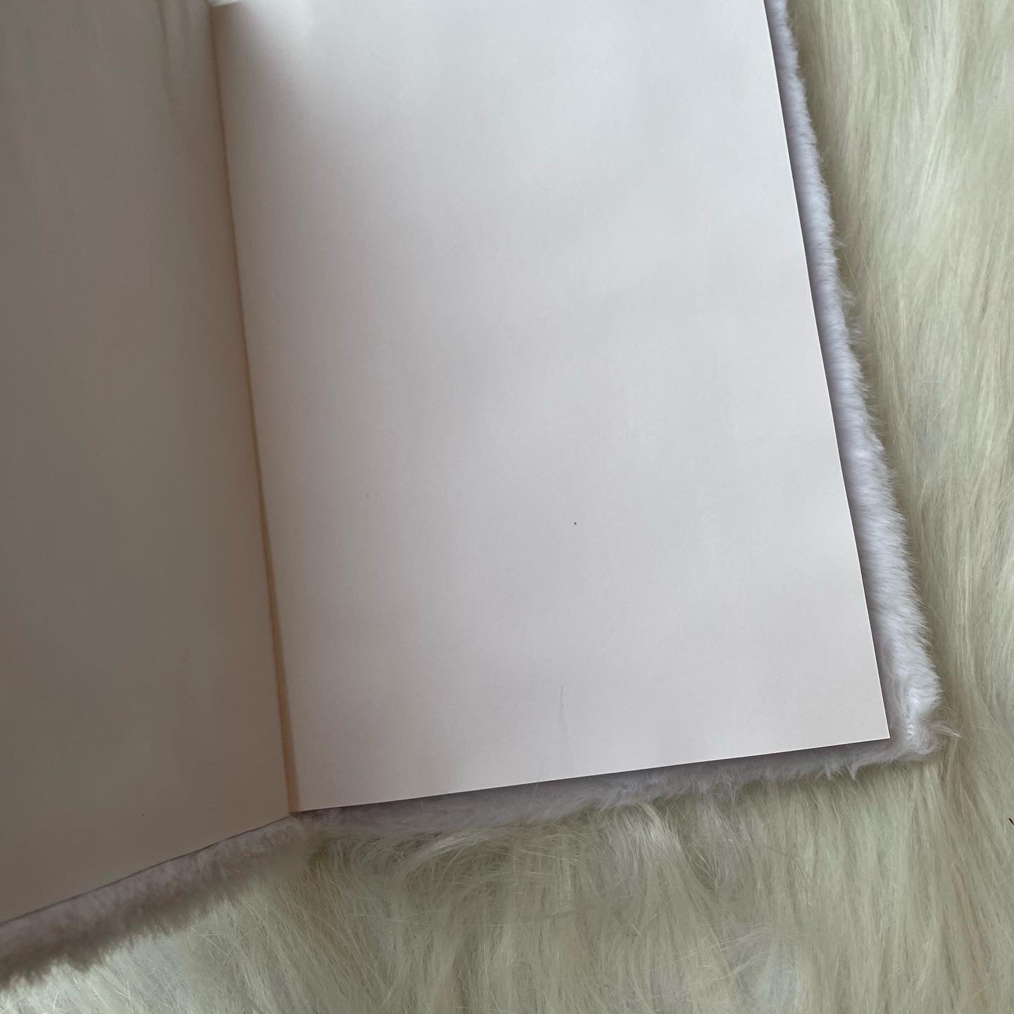 Premium panda fur diary