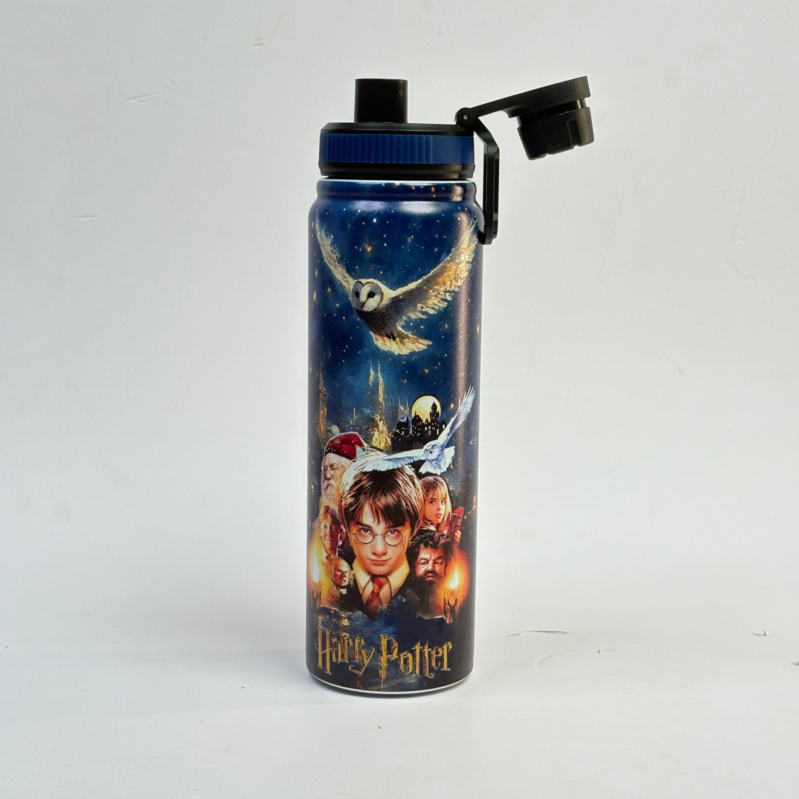 Harry Potter Insulated Steel Bottle 750ml