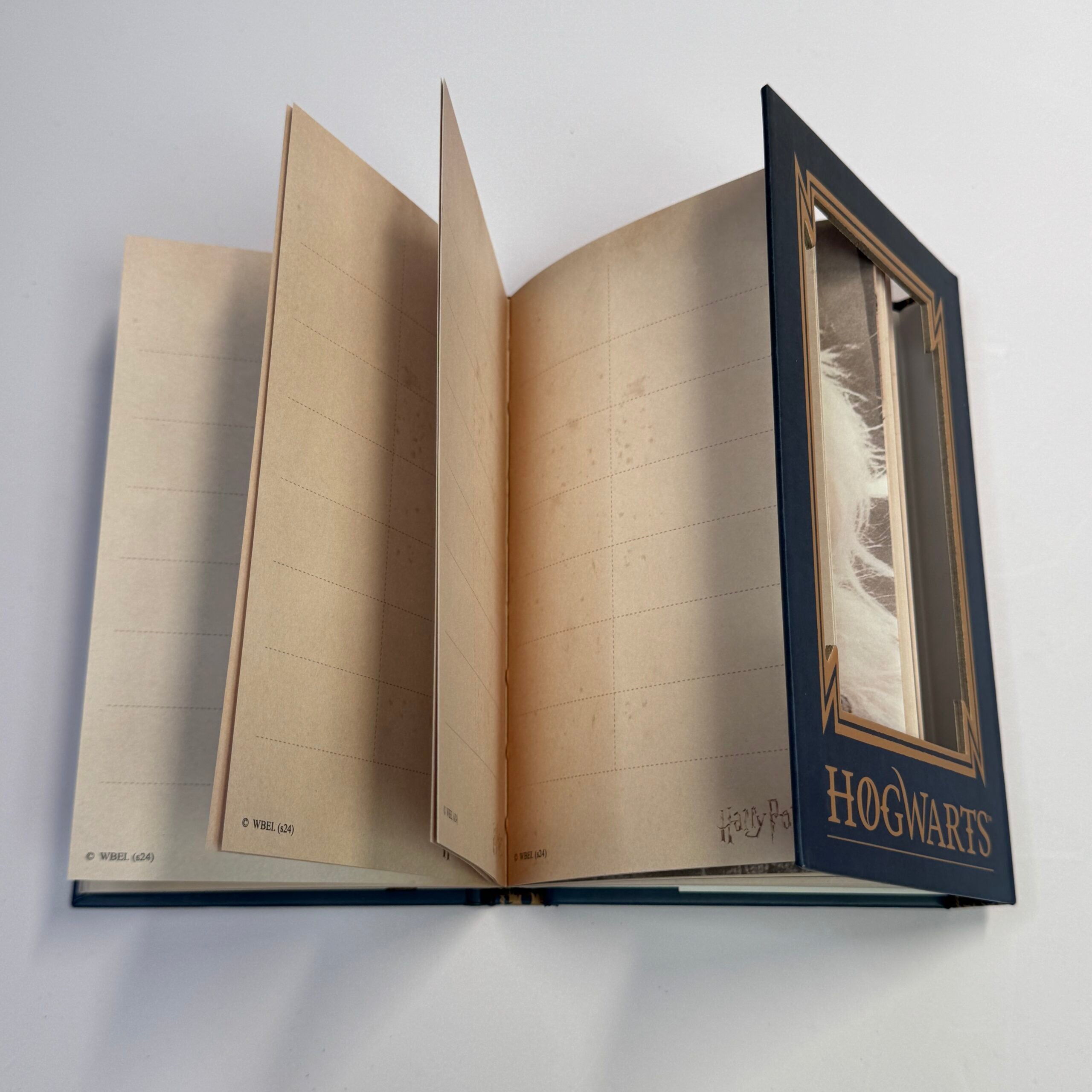 Harry Potter Flap Diary