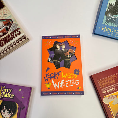 Harry Potter Flap Diary