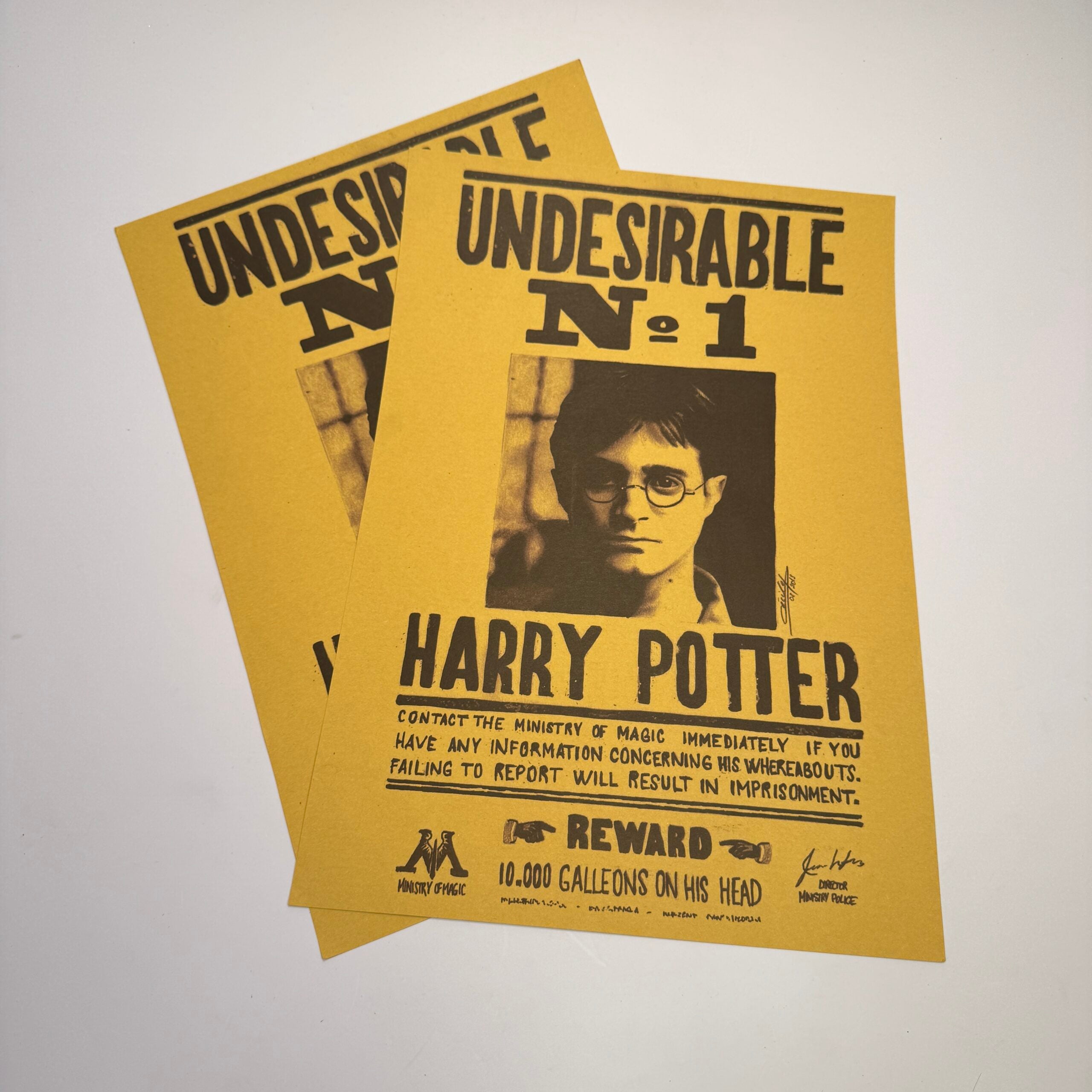 Harry Potter Posters ( Random )