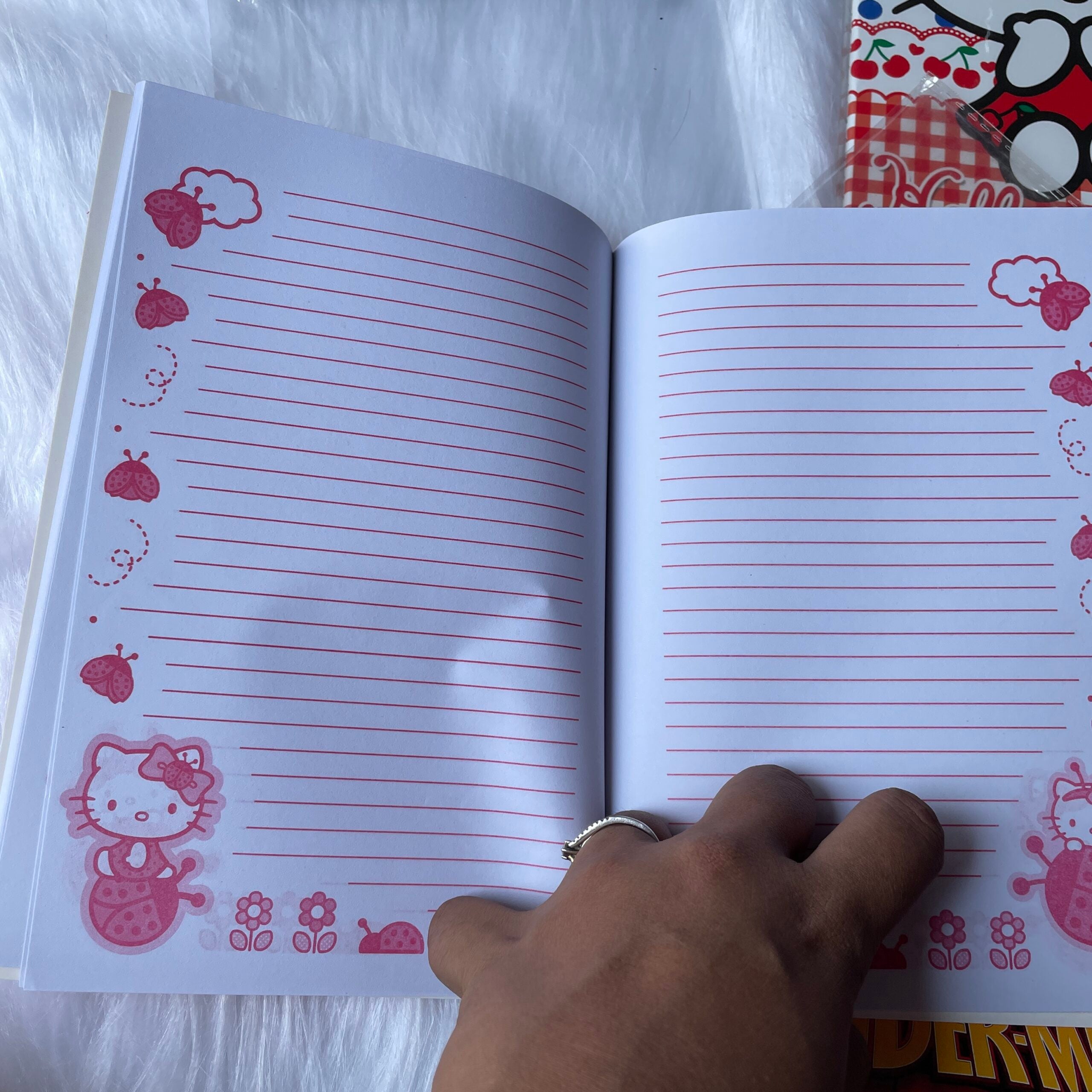 Spider Man and kitty printed diaries