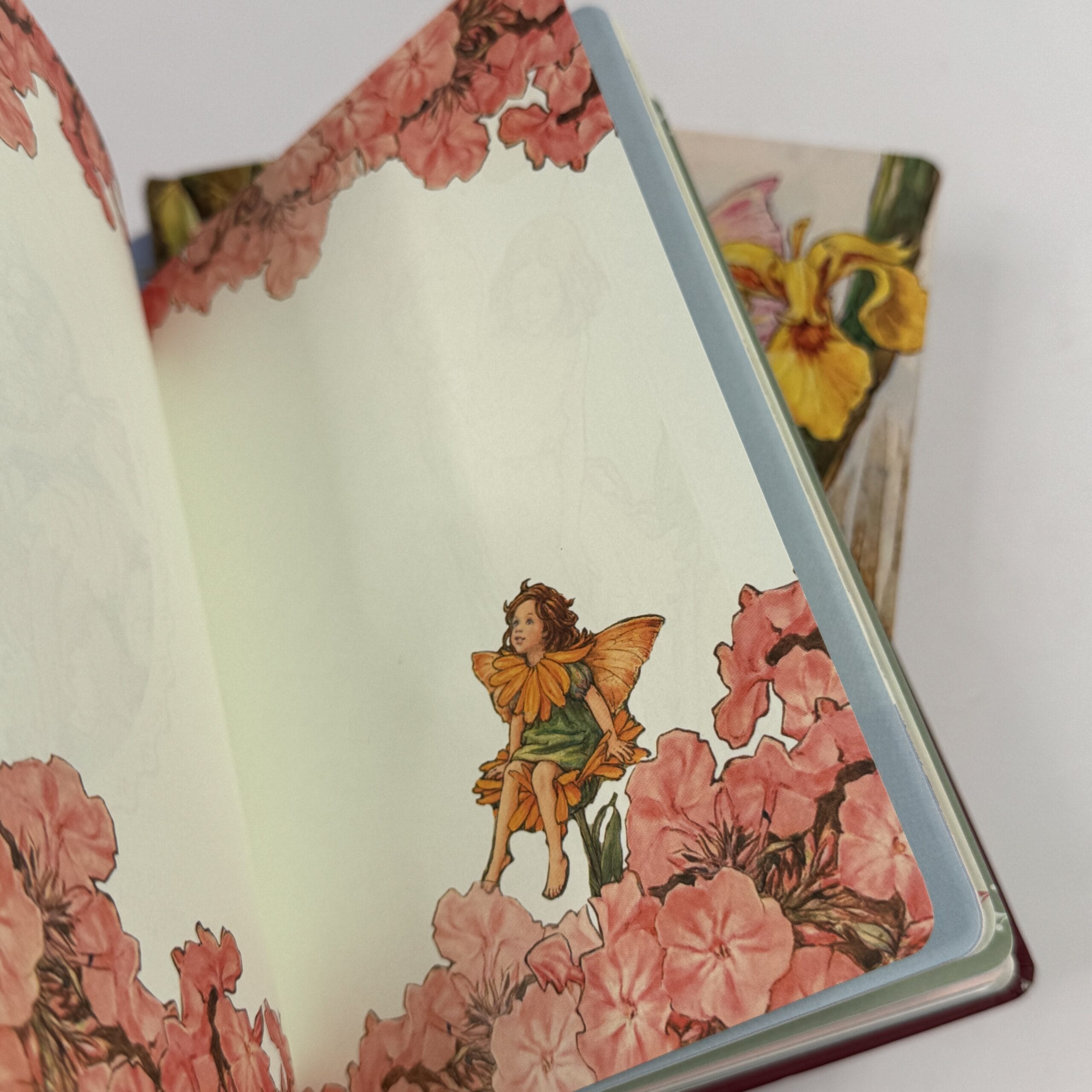 Journal notebook
