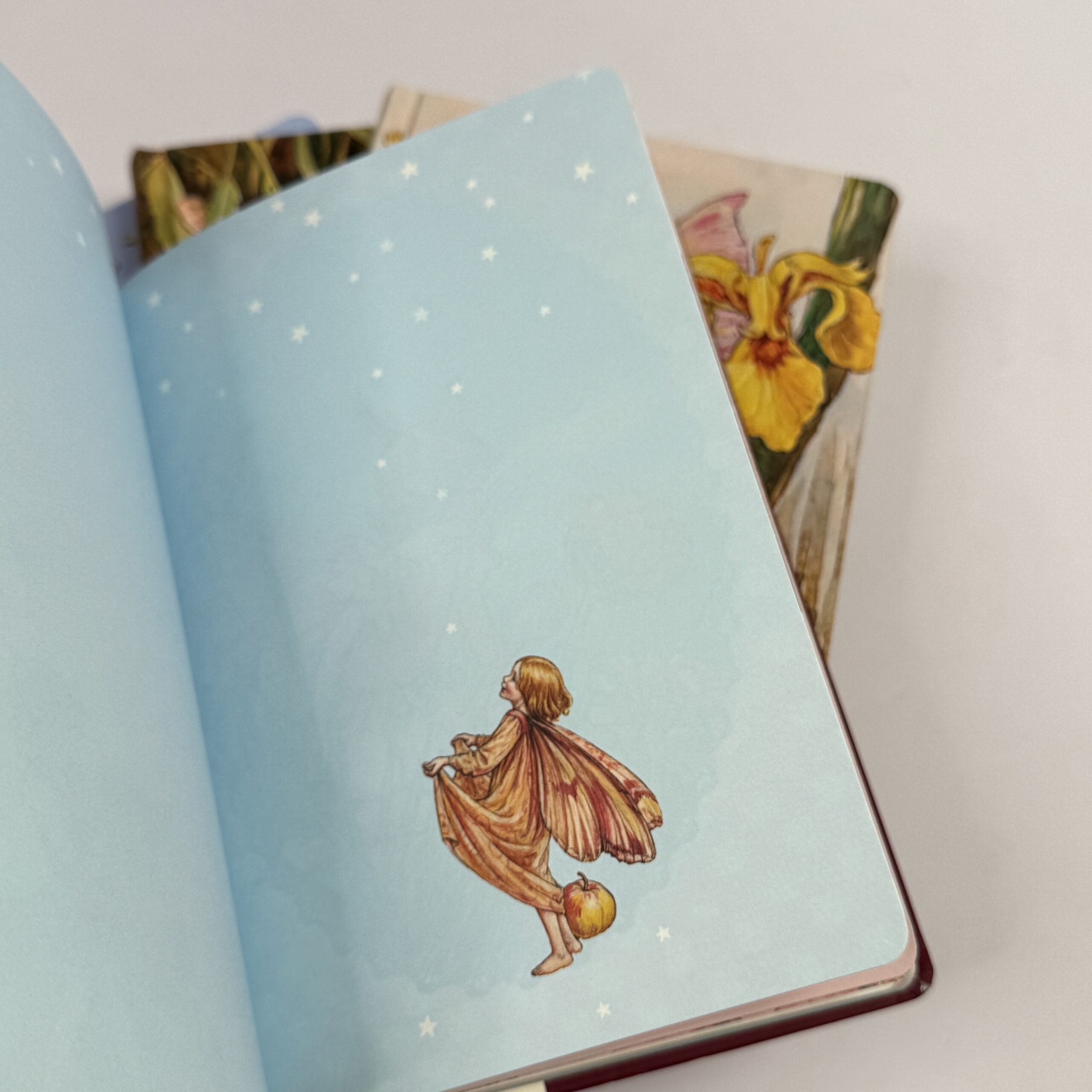 Journal notebook
