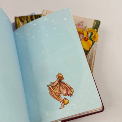 Journal notebook