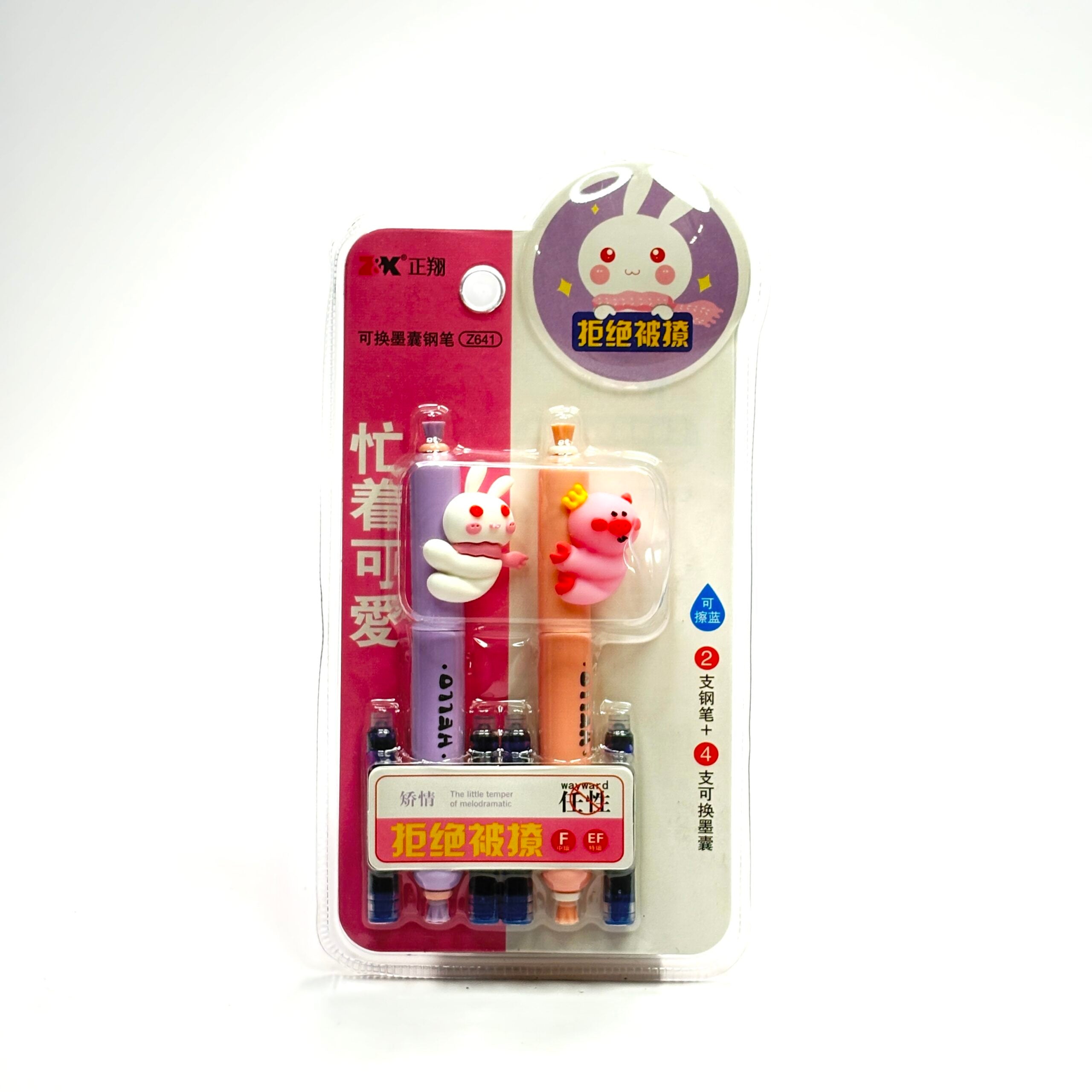 2 in 1 Cute Fountain Pens