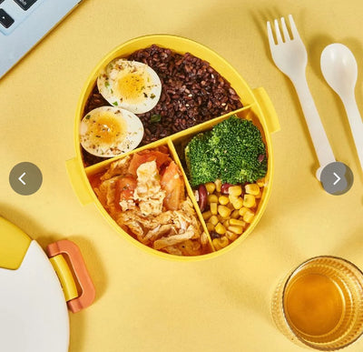 Duck lunch box