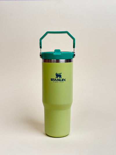 STANLEY IceFlow 2.0 Flip Straw Tumbler with Handle 30 oz
