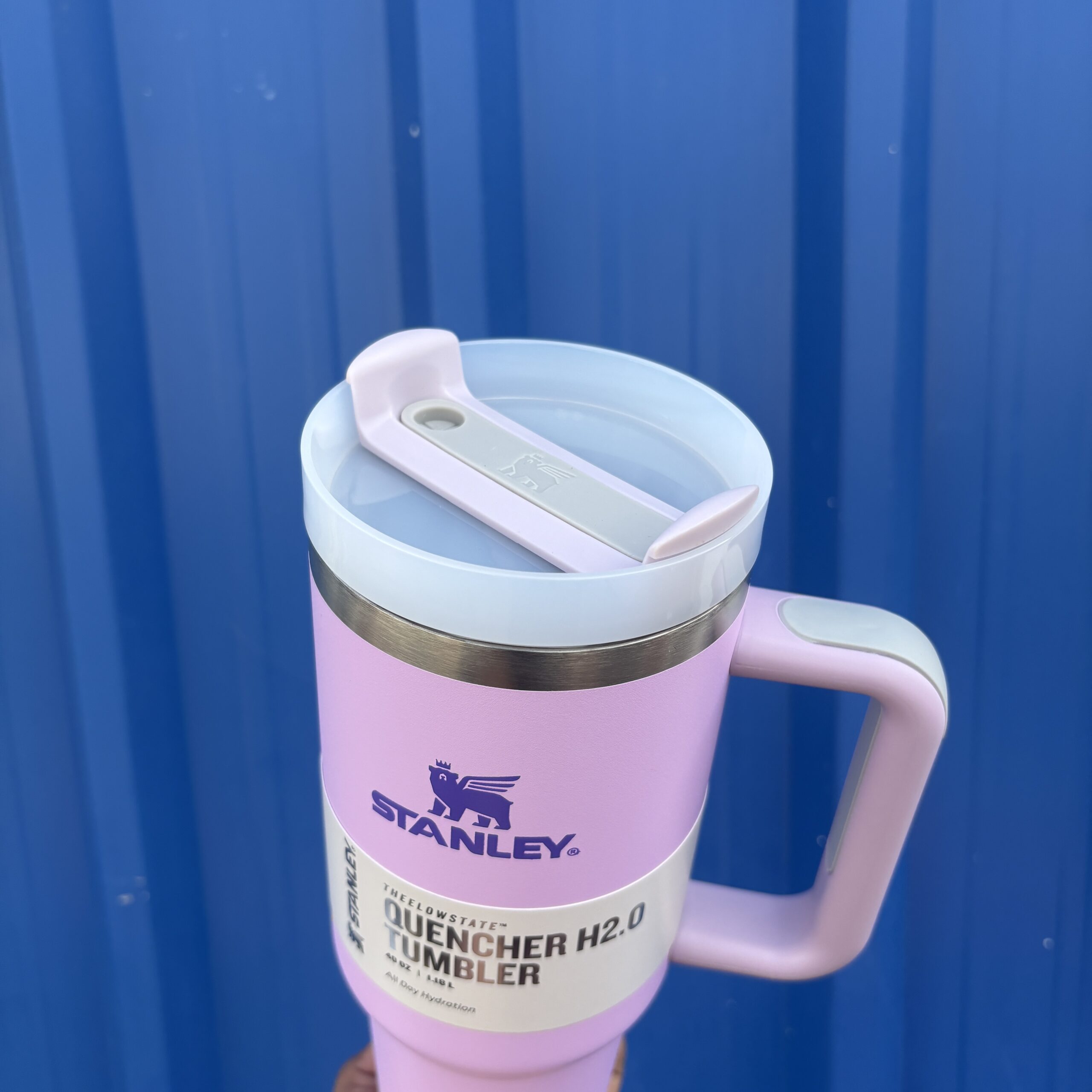 Purple Stanley with straw
