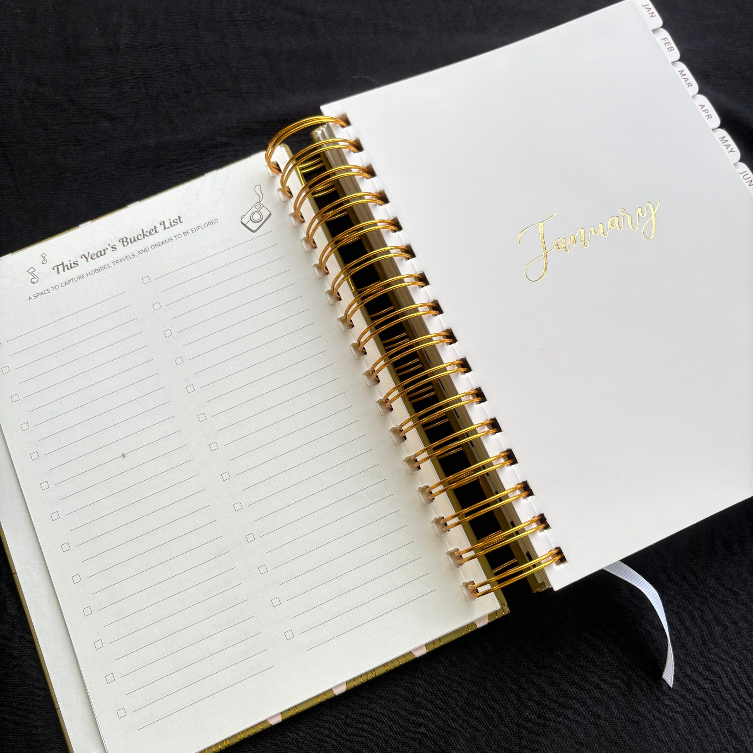 Premium Daily Planners (last two sheets stickers)