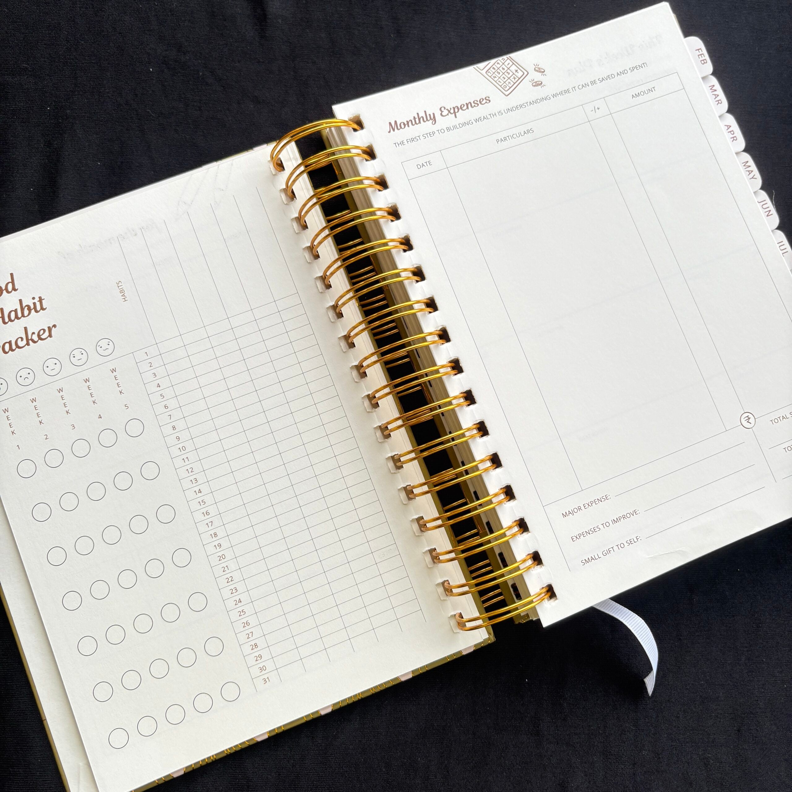Premium Daily Planners (last two sheets stickers)