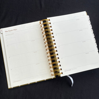 Premium Daily Planners (last two sheets stickers)