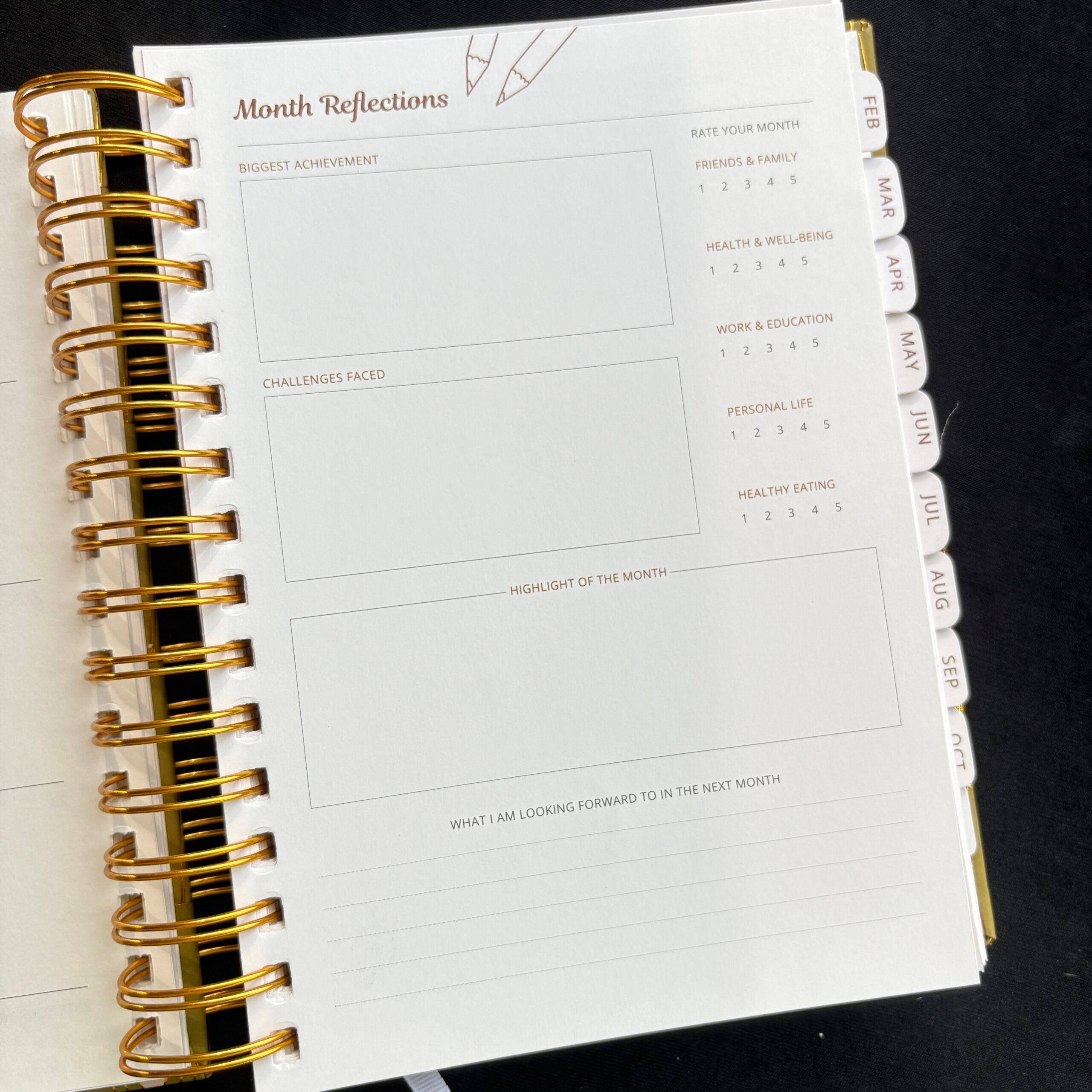 Premium Daily Planners (last two sheets stickers)