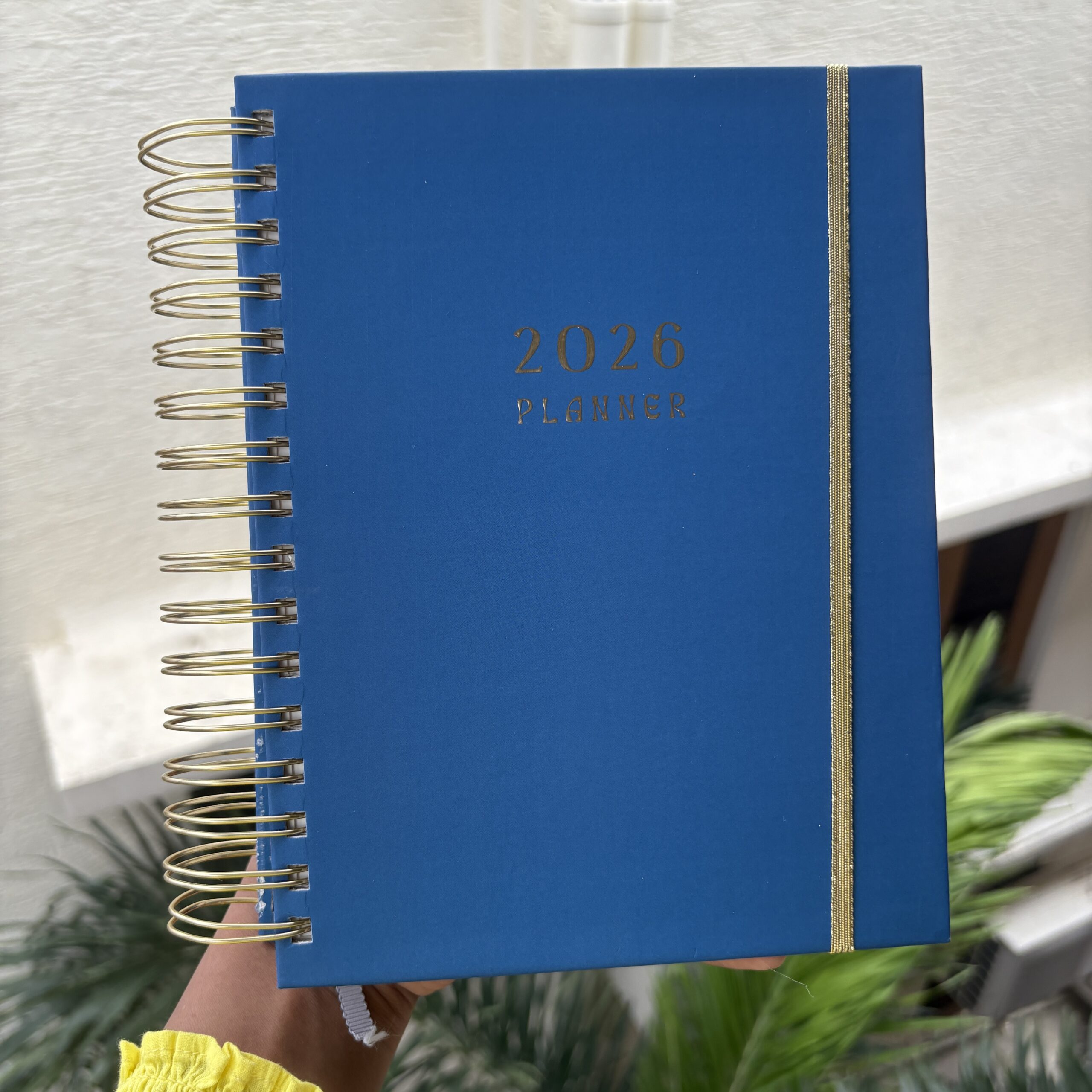 Premium Daily Planners (last two sheets stickers)
