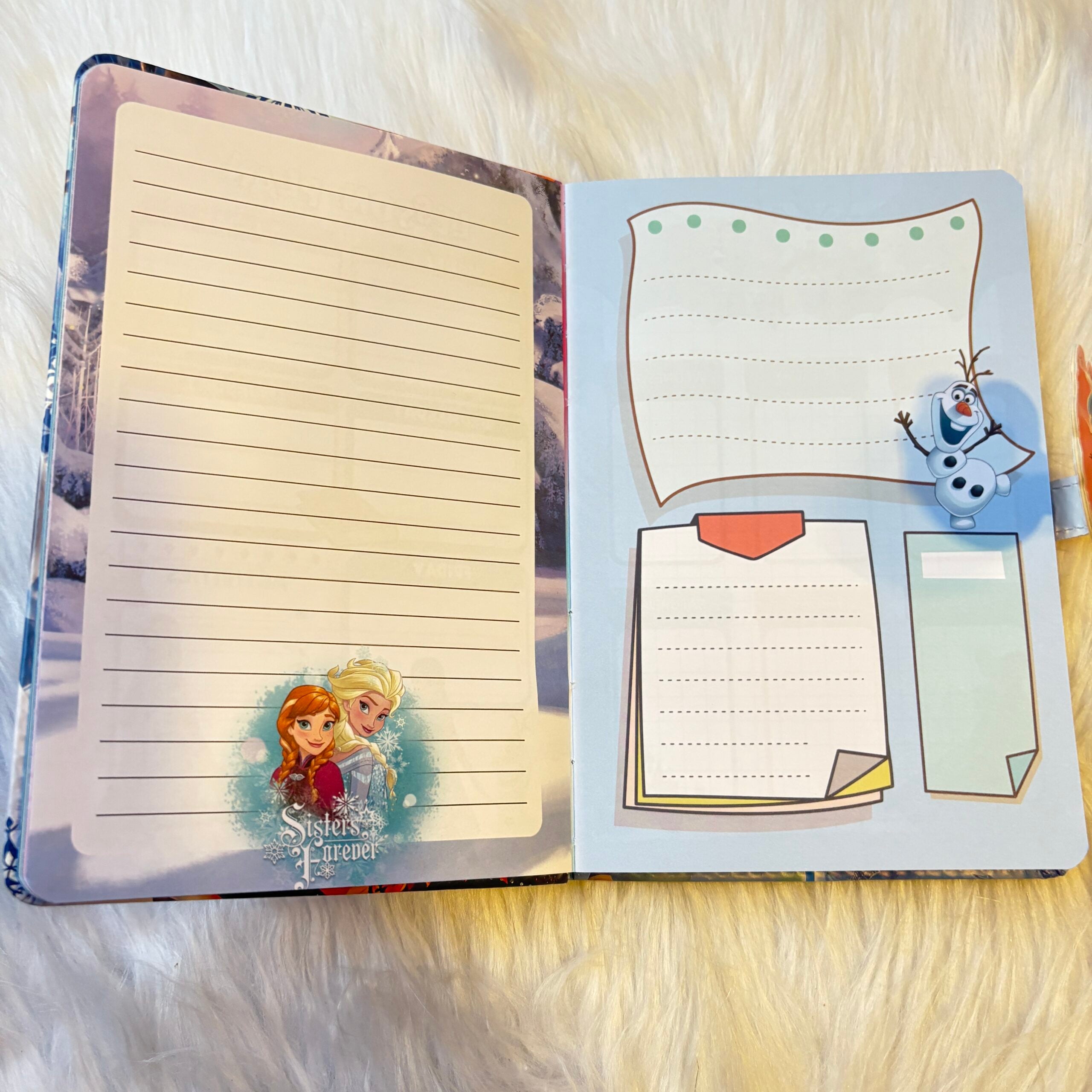 Frozen theme planners
