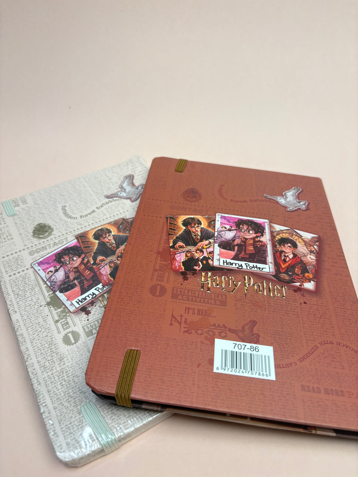 Harry diary