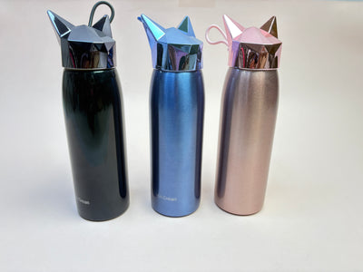 Mini insulator steel bottle