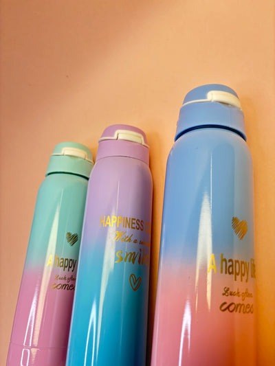 Sport steel bottle