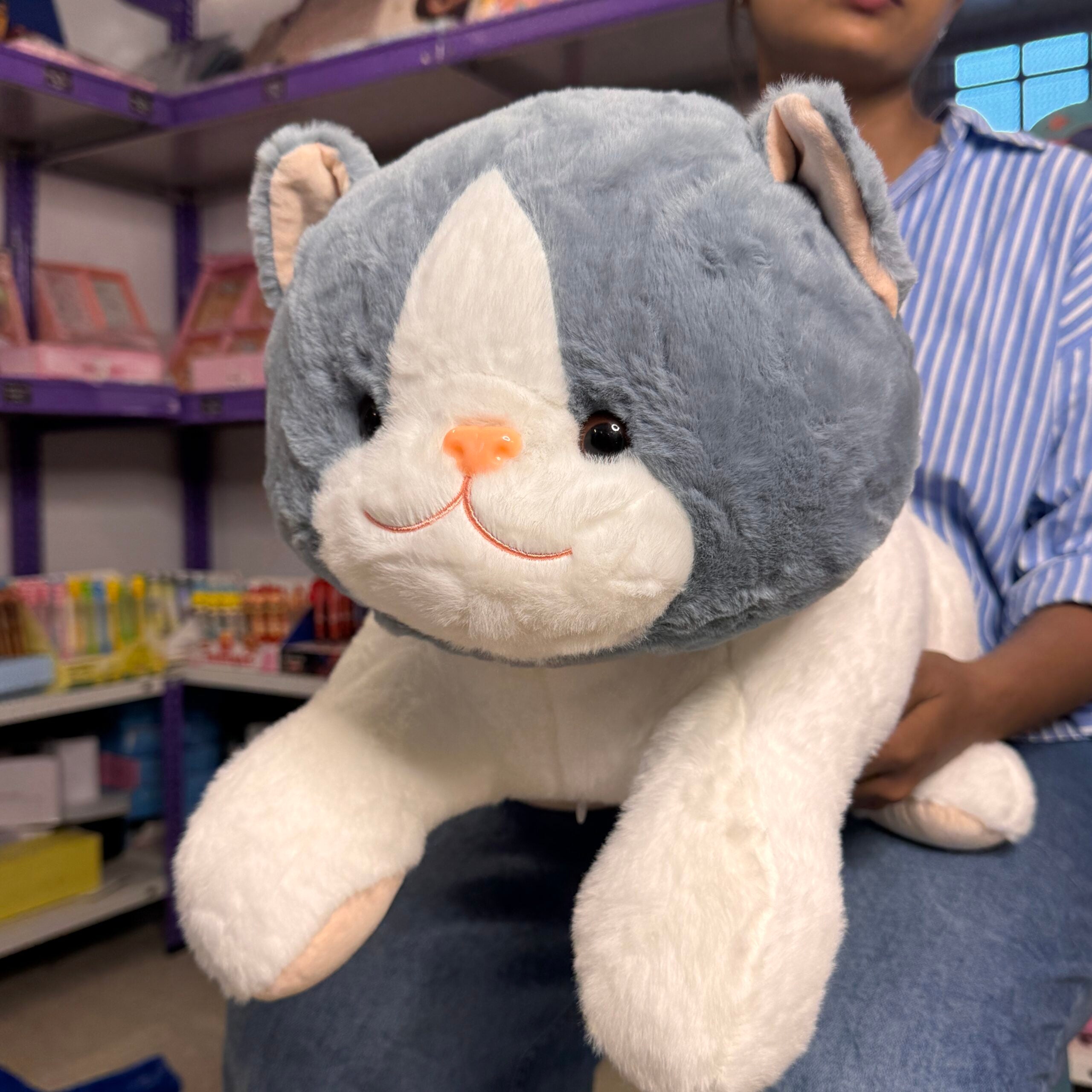 Cat Blanket Plush Toy