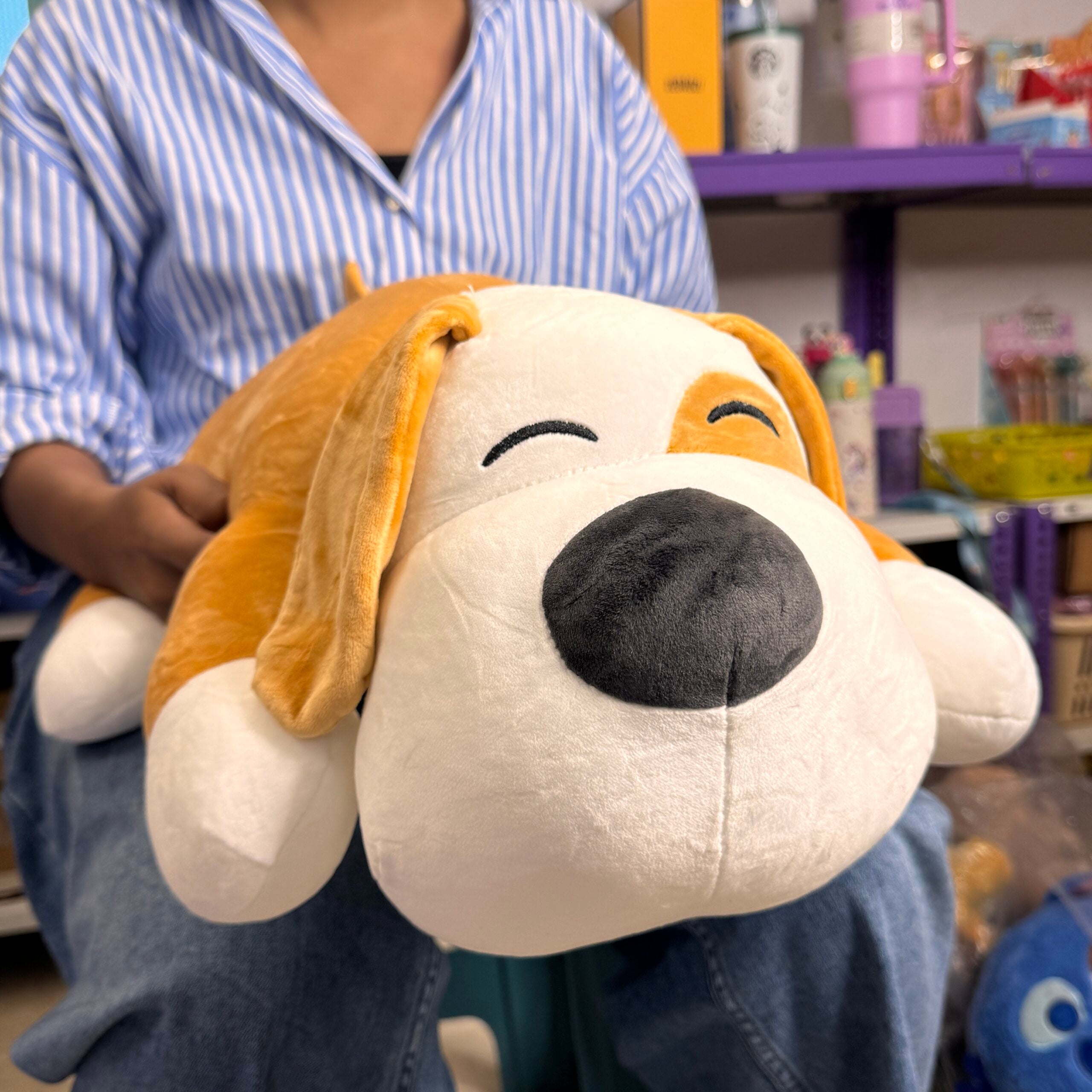 Doggy Blanket Plush Toy