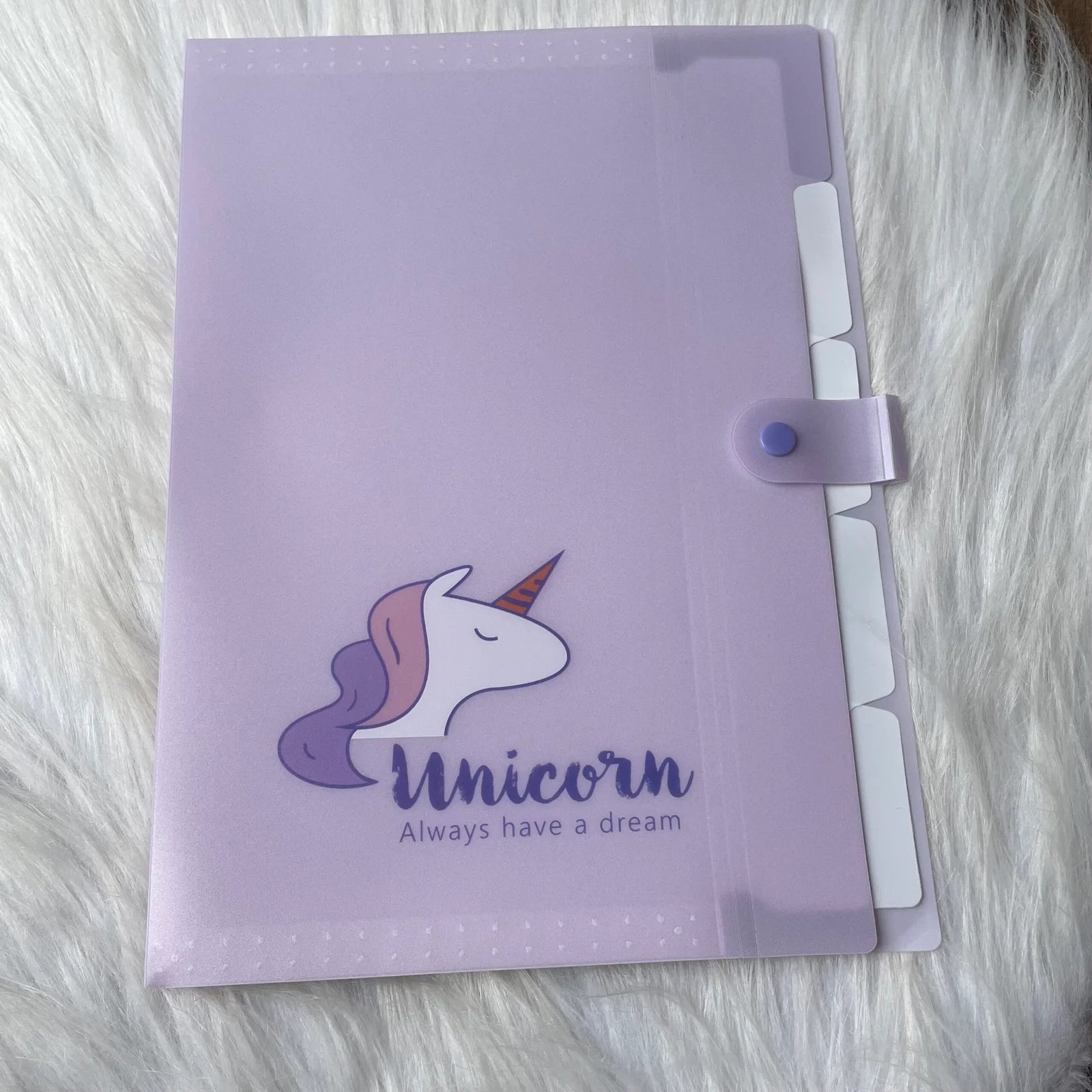 Premium Unicorn files five partition for different subject