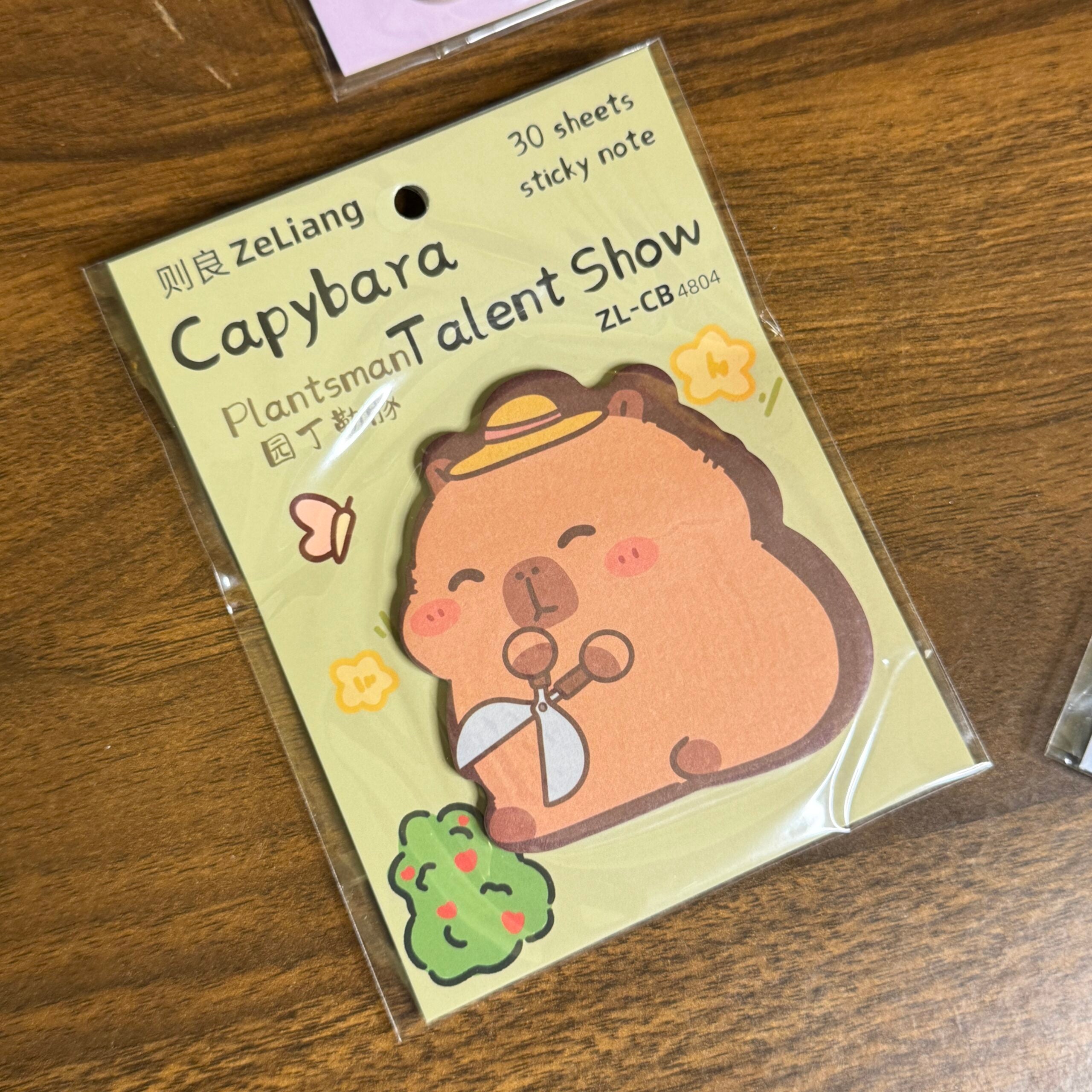 Cute capybara sticky notes